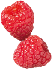 Rasberry